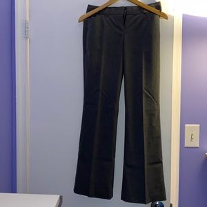 Express Low Rise Barely Boot Editor Pants